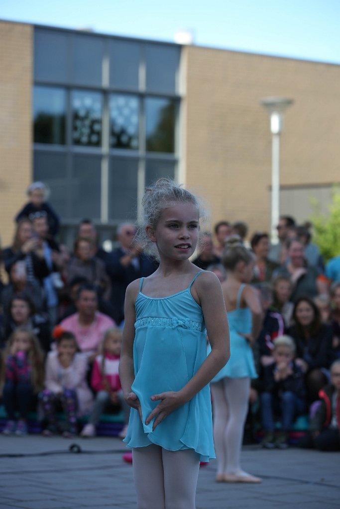 Schoolplein Festival B 078.jpg